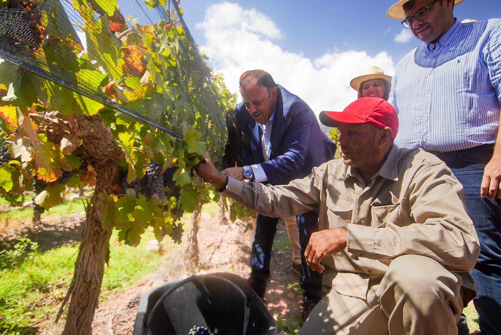 Apoyando a grandes y pequeños productores: Quintela visitó Chañarmuyo y destacó sus bondades para la vitivinicultura