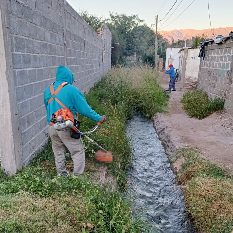 El gobierno provincial profundiza trabajos de mantenimiento para la prevención del dengue