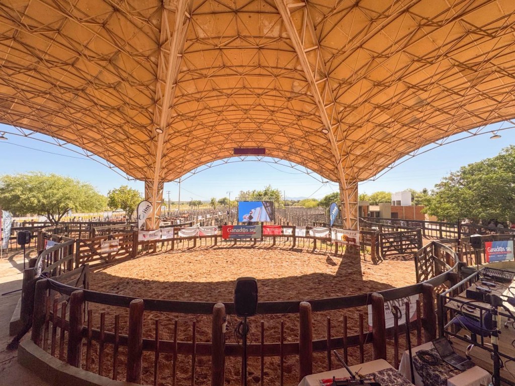 El 4to Remate de Cabañas amplió su alcance regional y reafirmó su apuesta al crecimiento 